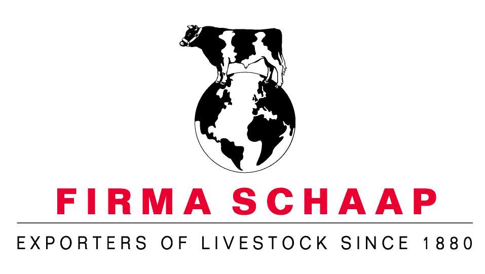 Firma-Schaap